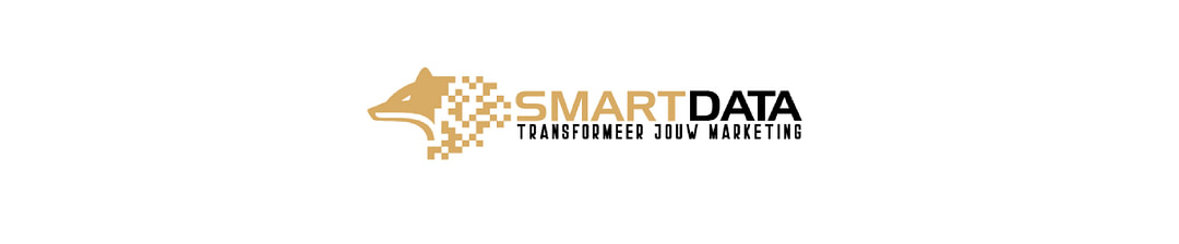 SmartData Agency cover